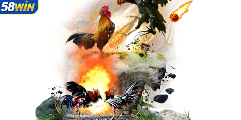 duoc-theo-doi-truc-tiep-voi-nhieu-tran-dau-kich-tinh-
